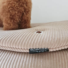 Afbeelding in Gallery-weergave laden, Boxkleed Pip-ribvelours-rib fluweel-velour-in 7 kleuren